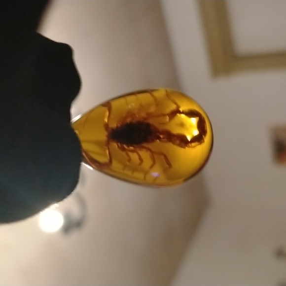 🦂 REAL brown scorpion in amber on adjustable rope necklace/choker - Picture 6 of 7